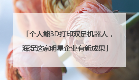个人能3D打印双足机器人，海淀这家明星企业有新成果