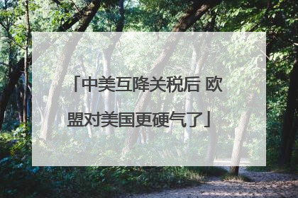 中美互降关税后 欧盟对美国更硬气了