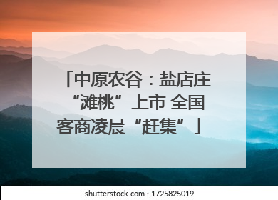 中原农谷：盐店庄“滩桃”上市 全国客商凌晨“赶集”