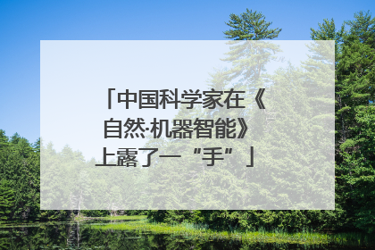中国科学家在《自然·机器智能》上露了一“手”