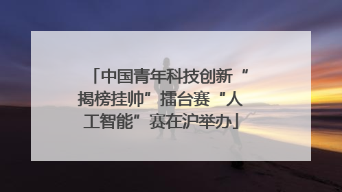 中国青年科技创新“揭榜挂帅”擂台赛“人工智能”赛在沪举办