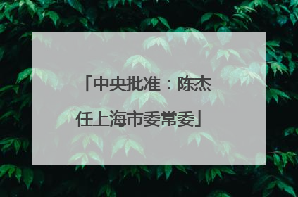 中央批准：陈杰任上海市委常委