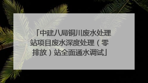 中建八局铜川废水处理站项目废水深度处理（零排放）站全面通水调试