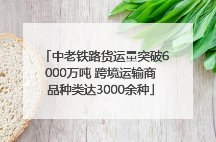 中老铁路货运量突破6000万吨 跨境运输商品种类达3000余种