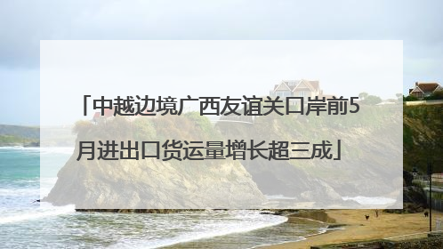 中越边境广西友谊关口岸前5月进出口货运量增长超三成