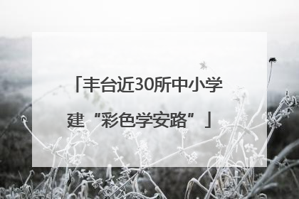 丰台近30所中小学建“彩色学安路”