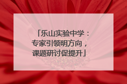 乐山实验中学：专家引领明方向，课题研讨促提升