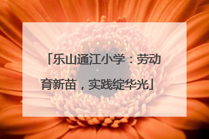 乐山通江小学：劳动育新苗，实践绽华光