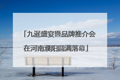 九暹盛宴暨品牌推介会在河南濮阳圆满落幕