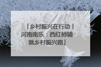 乡村振兴在行动丨河南南乐：西红柿铺就乡村振兴路