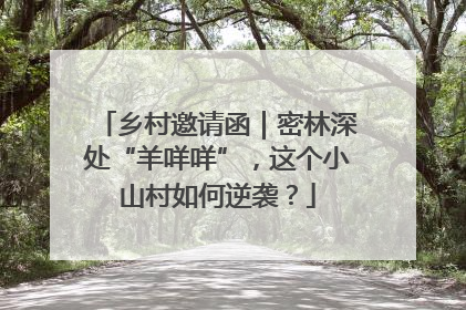乡村邀请函｜密林深处“羊咩咩”，这个小山村如何逆袭？