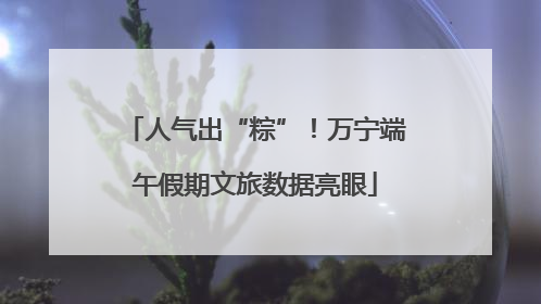 人气出“粽”！万宁端午假期文旅数据亮眼