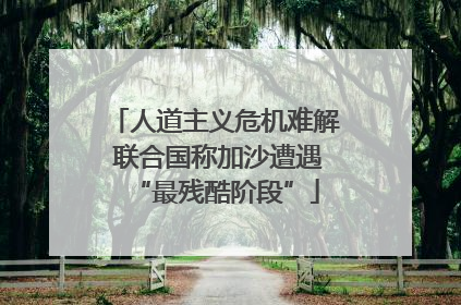 人道主义危机难解 联合国称加沙遭遇“最残酷阶段”