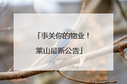 事关你的物业！莱山最新公告