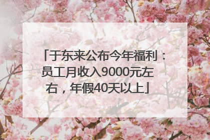 于东来公布今年福利：员工月收入9000元左右，年假40天以上
