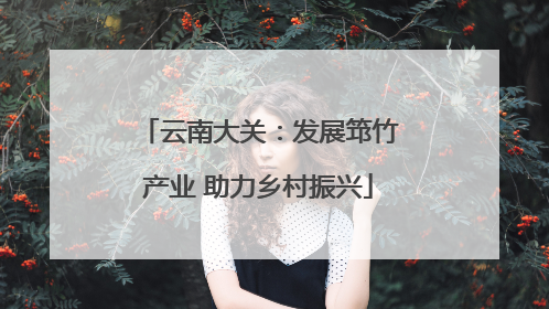 云南大关：发展筇竹产业 助力乡村振兴