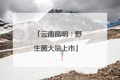 云南昆明：野生菌大量上市