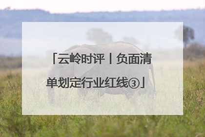 云岭时评丨负面清单划定行业红线③