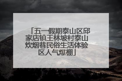 五一假期泰山区邱家店镇王林坡村泰山炊烟巷民俗生活体验区人气爆棚