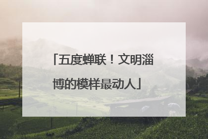 五度蝉联！文明淄博的模样最动人