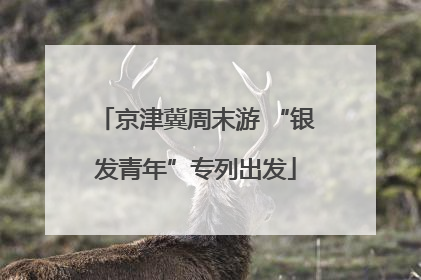 京津冀周末游 “银发青年”专列出发