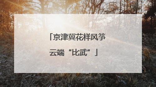 京津冀花样风筝云端“比武”