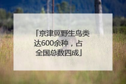 京津冀野生鸟类达600余种，占全国总数四成