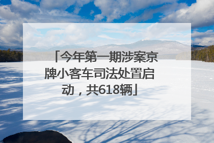 今年第一期涉案京牌小客车司法处置启动，共618辆
