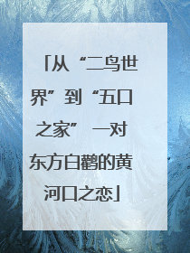 从“二鸟世界”到“五口之家” 一对东方白鹳的黄河口之恋
