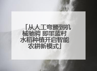 从人工弯腰到机械驰骋 即墨蓝村水稻种植开启智能农耕新模式