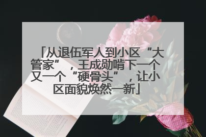 从退伍军人到小区“大管家”，王成勋啃下一个又一个“硬骨头”，让小区面貌焕然一新