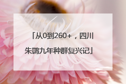 从0到260+，四川朱鹮九年种群复兴记