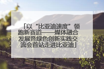 以“比亚迪速度”领跑新赛道——媒体融合发展暨绿色创新实践交流会首站走进比亚迪
