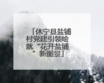 休宁县盐铺村党建引领绘就“花开盐铺”新图景