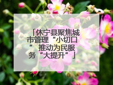 休宁县聚焦城市管理“小切口” 推动为民服务“大提升”