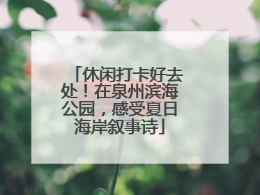 休闲打卡好去处！在泉州滨海公园，感受夏日海岸叙事诗