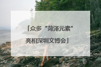 众多“菏泽元素”亮相深圳文博会