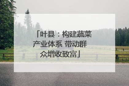 叶县：构建蔬菜产业体系 带动群众增收致富
