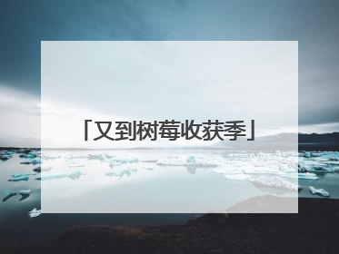 又到树莓收获季