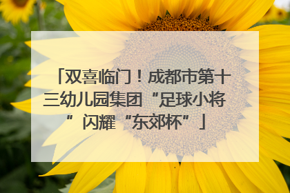 双喜临门！成都市第十三幼儿园集团“足球小将”闪耀“东郊杯”