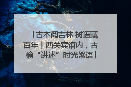 古木阅吉林 树语藏百年｜西关宾馆内，古榆“讲述”时光絮语