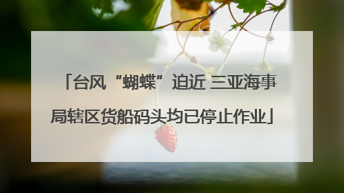台风“蝴蝶”迫近 三亚海事局辖区货船码头均已停止作业