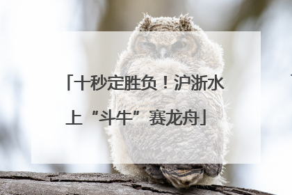 十秒定胜负！沪浙水上“斗牛”赛龙舟
