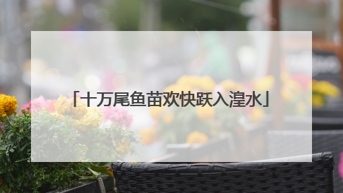 十万尾鱼苗欢快跃入湟水