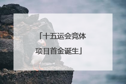 十五运会竞体项目首金诞生