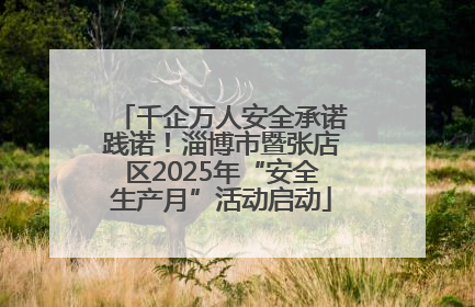 千企万人安全承诺践诺！淄博市暨张店区2025年“安全生产月”活动启动