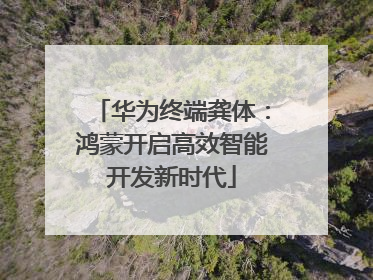 华为终端龚体：鸿蒙开启高效智能开发新时代