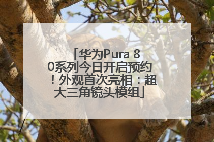 华为Pura 80系列今日开启预约！外观首次亮相：超大三角镜头模组