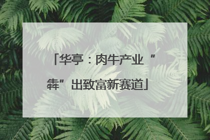 华亭：肉牛产业“犇”出致富新赛道