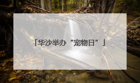 华沙举办“宠物日”